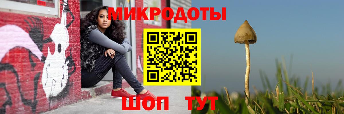 Псилоцибиновые грибы Cubensis Щёлково